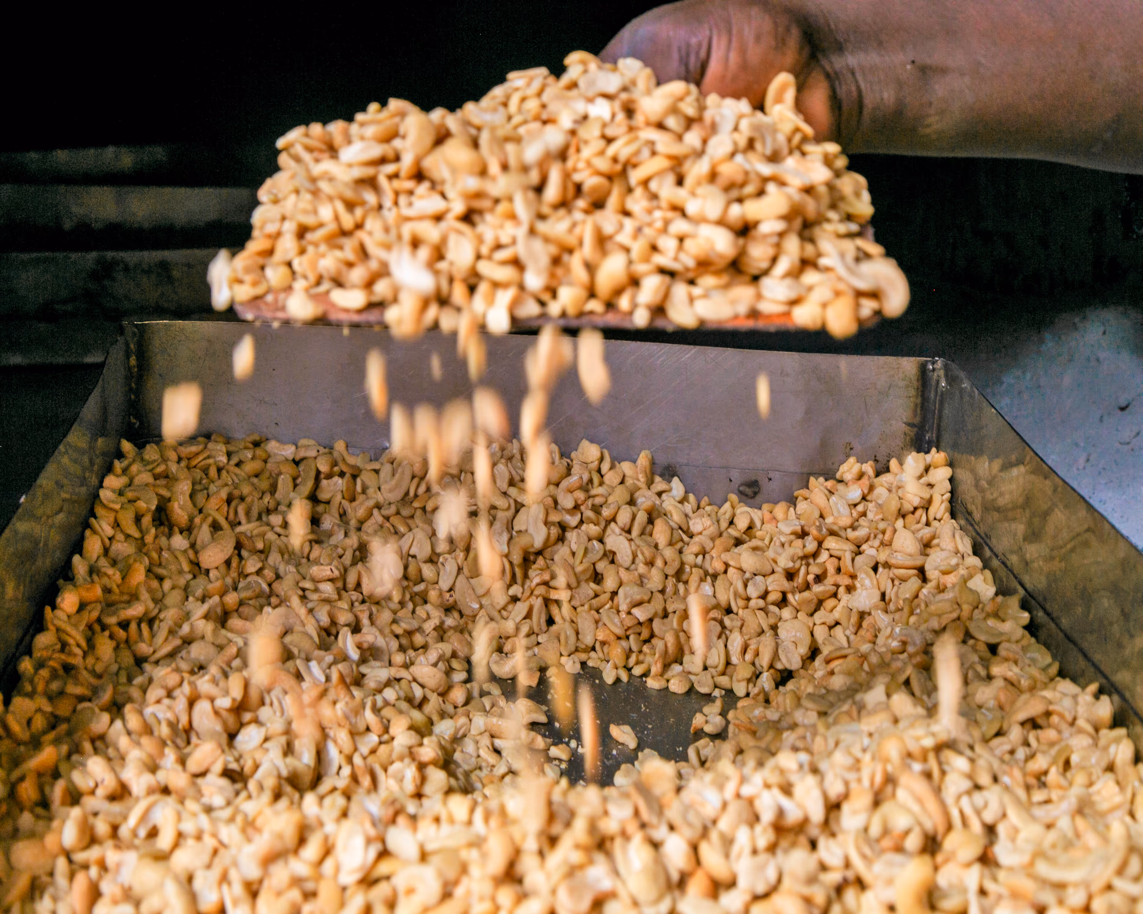 Cuisson au feu de bois
